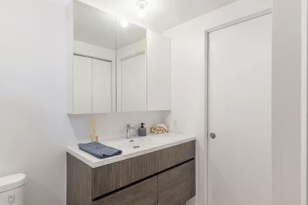 Salle de bain : 271 Av. de l'Académie